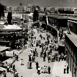 Διεθνής Έκθεση Θεσσαλονίκης 1964:Φωτογραφία 1