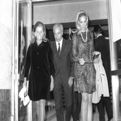 10ο Φεστιβάλ Ελληνικού Κινηματογράφου :Φωτογραφία 10