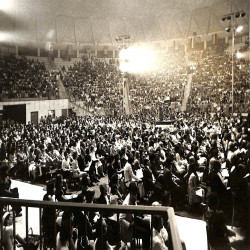 13ο ΦΕΤ Πρόγραμμα 1974:Φωτογραφία 5