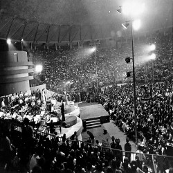 13ο ΦΕΤ Πρόγραμμα 1974:Φωτογραφία 41