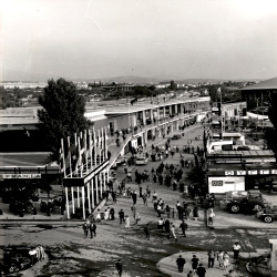 32η ΔΕΘ 1967:Φωτογραφία 6