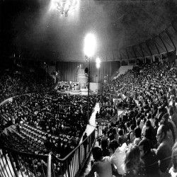 13ο ΦΕΤ Πρόγραμμα 1974:Φωτογραφία 2