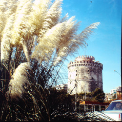Λευκός Πύργος