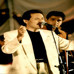 33ο Φεστιβάλ Ελληνικού Τραγουδιού 1994 Ερμηνευτές:Φωτογραφία 2