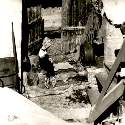 10ο Φ.Ε.Κ. Πλάνα ταινιών:Φωτογραφία 6