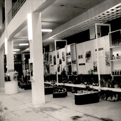 24η ΔΕΘ 1959 Εσωτερικά περιπτέρων:Φωτογραφία 6