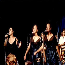 31ο Φεστιβάλ Ελληνικού Τραγουδιού 1992:Φωτογραφία 2