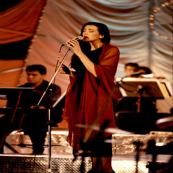 ΦΕΤ 1994:Φωτογραφία 1