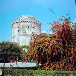 Λευκός Πύργος
